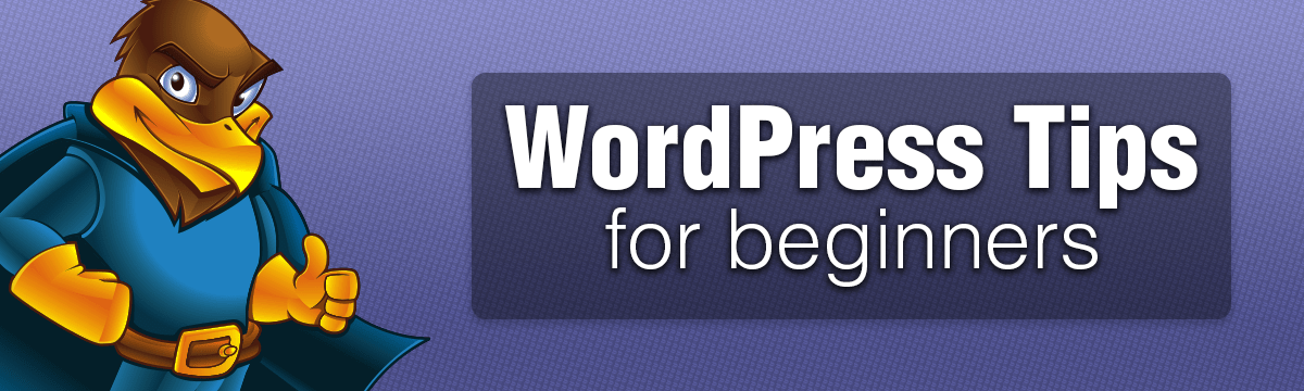 WordPress tips for beginners on Hawk Host